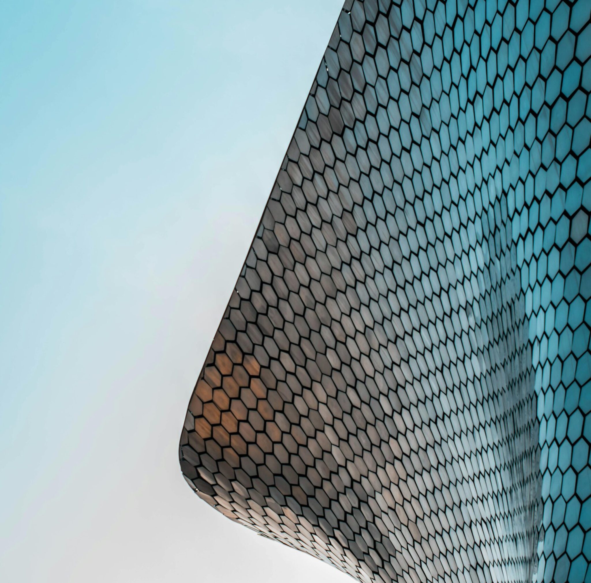 pexels-luis-ruiz-1774931